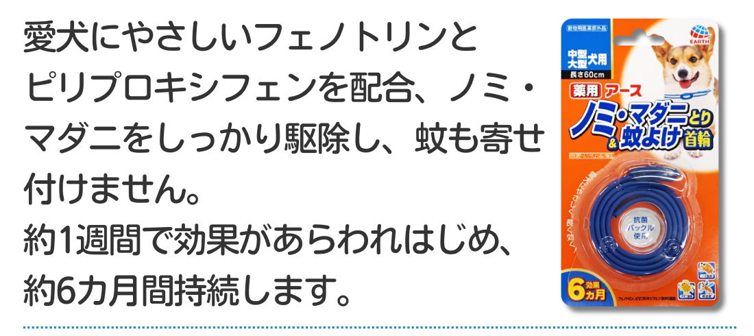 西村ジョイ